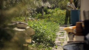 Кто такие мормоны? Владимир Иосифович-