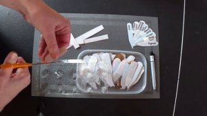 Бирки для рассады томатов, перцев, баклажанов  и цветов из яичных лотков на весь год