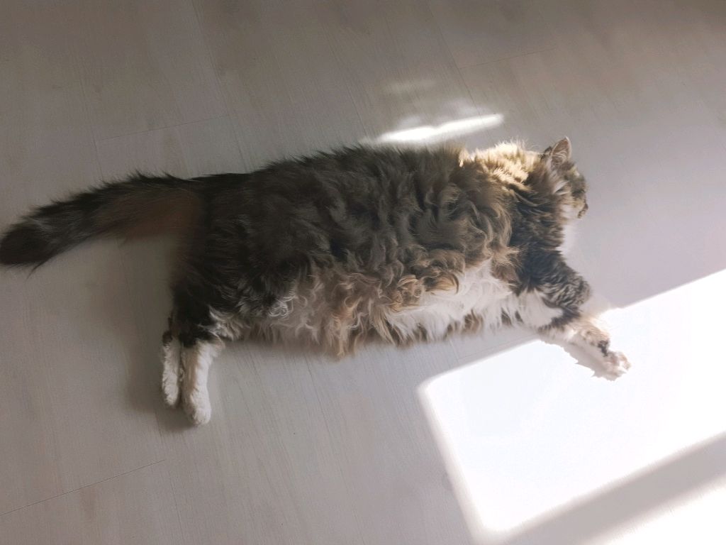 Тока Бока Лагерь 1 часть смотреть онлайн