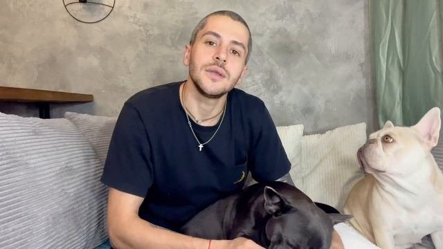 Французский бульдог беременность! Скоро родим!