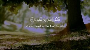 Surah Abasa (Be Heaven)  سلسلة كن جنة - سورة عبس