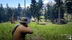 Red Dead Redemption 2 - Испытание Мастер-охотник 5 \ 10