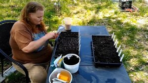 Planting Flower Seeds For Pollinators and Pest Deterrents