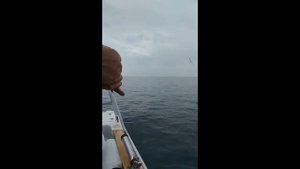 Морская рыбалка в Судаке. Крым. Россия.