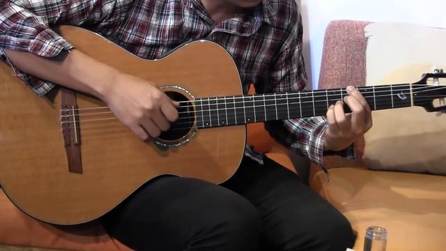 Breedlove N20 Custom AER Domino II