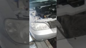 Kia карнивал 2004 замена масла