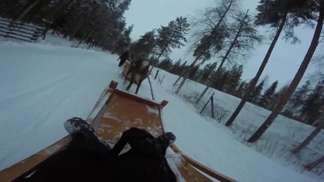Morgan Rudolph sleigh ride in lapland смотреть онлайн