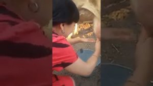 Учимся доить корову