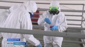 Полномасштабные учения по ликвидации очага ящура развернулись на Ставрополье