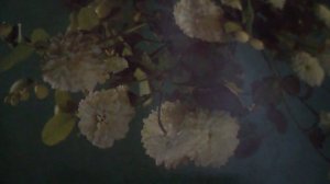 Эх, дороги, пыль, да, туман, холода , тревоги(наброски)