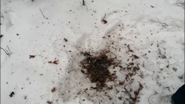 ✓ВЗОРВАЛИ НОУТБУК,СТРЕЛЯЕМ ПЕТАРДАМИ ИЗ РОГАТКИ,ВЗОРВАЛИ ТЕЛЕФОНЫ!!! С НАСТУПАЮЩИМ МЕРЗКАЯ ТВАРЬ!!! смотреть онлайн