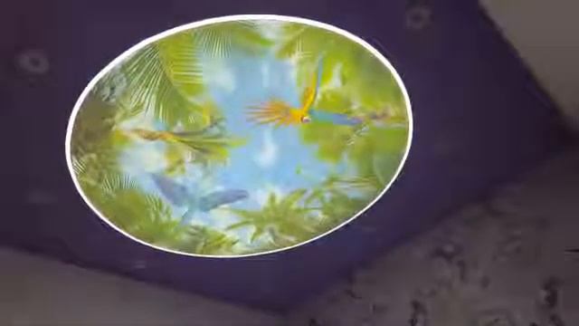 Дабл Вижн - технология скрытой фотопечати на натяжных потолках смотреть онлайн