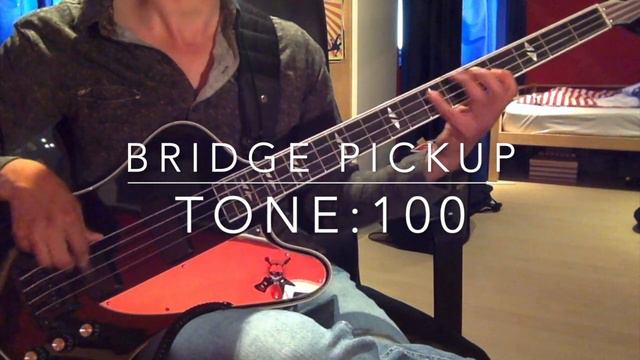 Gibson Gene Simmons G2 Thunderbird Bass Demo смотреть онлайн