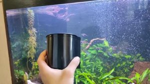 Фильтр для аквариума 126 литров