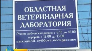 Всероссийская тренировка по гражданской обороне проходит в ЕАО