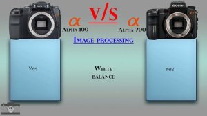 Sony Alpha 100 vs Sony Alpha 700