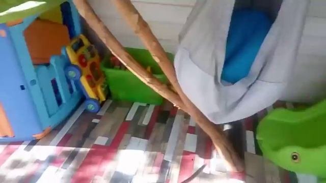 Обезьянка дома | Заказать обезьянку  - 8 916 - 702-11-08