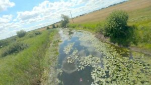 Конь под Продиджи