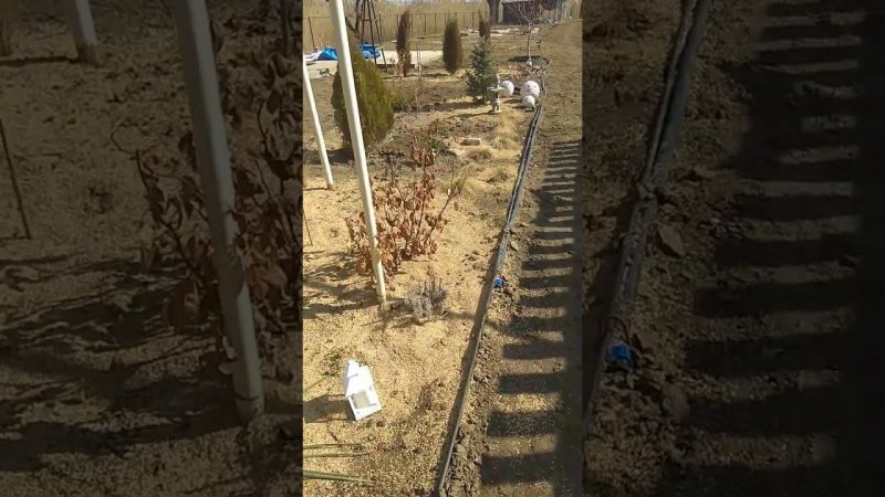 +20 Весеннее пение птиц