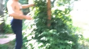 Дачный супер туалет!