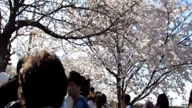 Hangang 2011-04-16 [Canon SX30 IS] смотреть онлайн