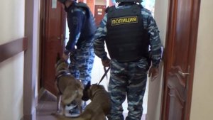 Учения  силовиков