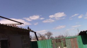 г.Курахово голуби Янковец Г.Н