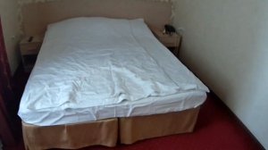 Обзор номера Отель Афродита 3* Адлер