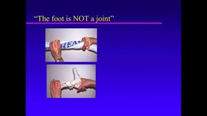 Biomechanics Of The Pediatric Foot. Principle 01. The Foot Is Not A Joint