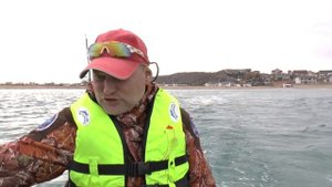 ПВХ НДНД Алькор 390СВ от Аквилон. Первый выход в море. Отзыв