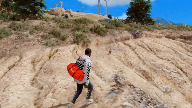 ЭКСПЕРИМЕНТЫ В GTA 5! ЧТО БУДЕТ ЕСЛИ ОСВОБОДИТЬ КУРИЦУ В ГТА 5!? КУДА БЕГУТ КУРИЦЫ! КУРИЦА УМНЕЕ?