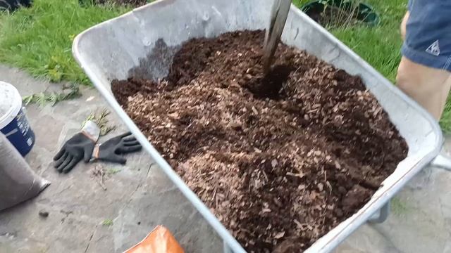 Голубика. ПРАВИЛЬНАЯ посадка голубики.100% результат смотреть онлайн