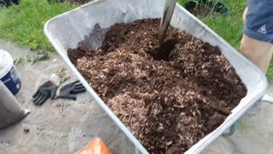 Голубика. ПРАВИЛЬНАЯ посадка голубики.100% результат