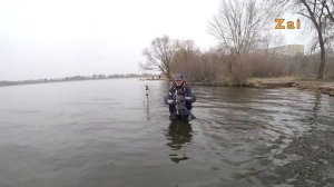 Ловля ТЕЛАПИИ на спиннинг с подсадкой опарыша.