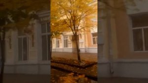 Витебск, улица Кирова!