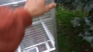 Клетка для белки. Размер 0,55 х 0,4 х 1,2 м.