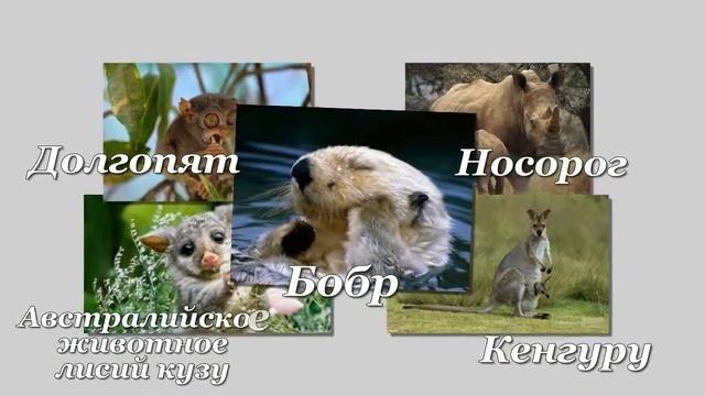 Эти знакомые и незнакомые животные смотреть онлайн