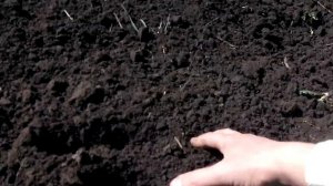 АКТИВНЫЕ РОТОРЫ РОТОРНЫЕ БОРОНЫ ЩАДЯЩАЯ ОБРАБОТКА ПОЧВЫ МОТОБЛОК