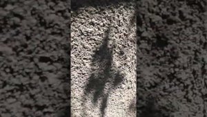 Подтяжка пристройки к дому! Часть 1