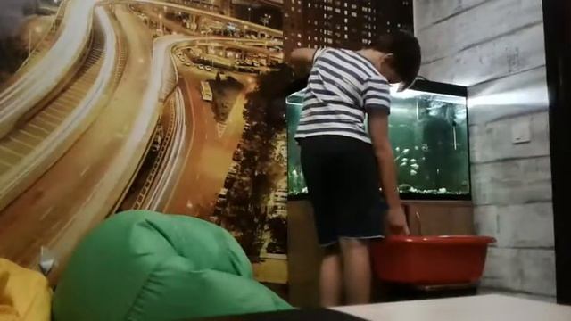 Генеральная уборка в аквариуме на 150 литров. смотреть онлайн