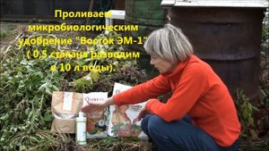 Можно ли компостировать ботву от картофеля и томатов