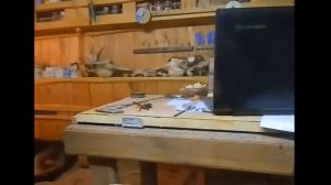 Люблю волчок - забаву детства.