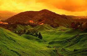 Красивые места Камеруна. Короткий видеообзор. Достопримечательности Камеруна. Слайд-Шоу.