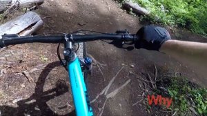 Specialized Rockhopper Comp 29 Mountain Bike review
