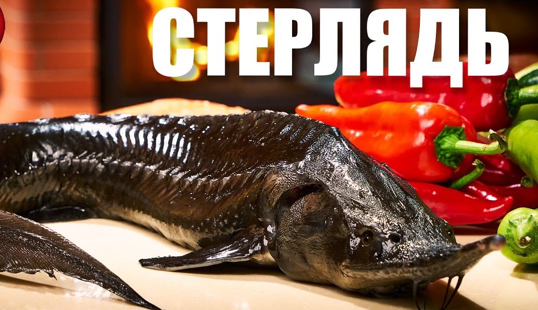 Как приготовить стерлядь в духовке.