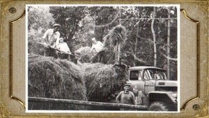 Пичаевский лесхоз Старый альбом Байловская библиотека