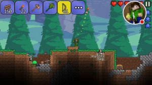 Стрим игры "Terraria".стрелок 1 часть