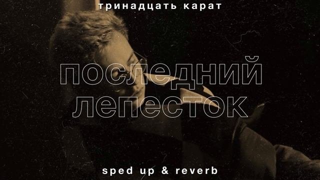 тринадцать карат — последний лепесток (sped Up & Reverb)