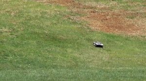 ТОП 5 САМЫХ КРУТЫХ РАДИОУПРАВЛЯЕМЫХ МАШИН