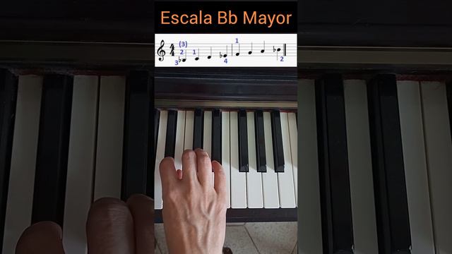 Escala Bb Mayor 😉-DIGITACION PIANO- 🎹👌#piano #teoriamusical